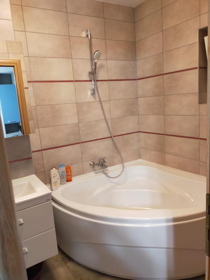 Hunyadi Luxury Dna Stanca 1 Apartment Сибиу Екстериор снимка